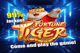 kirkya login